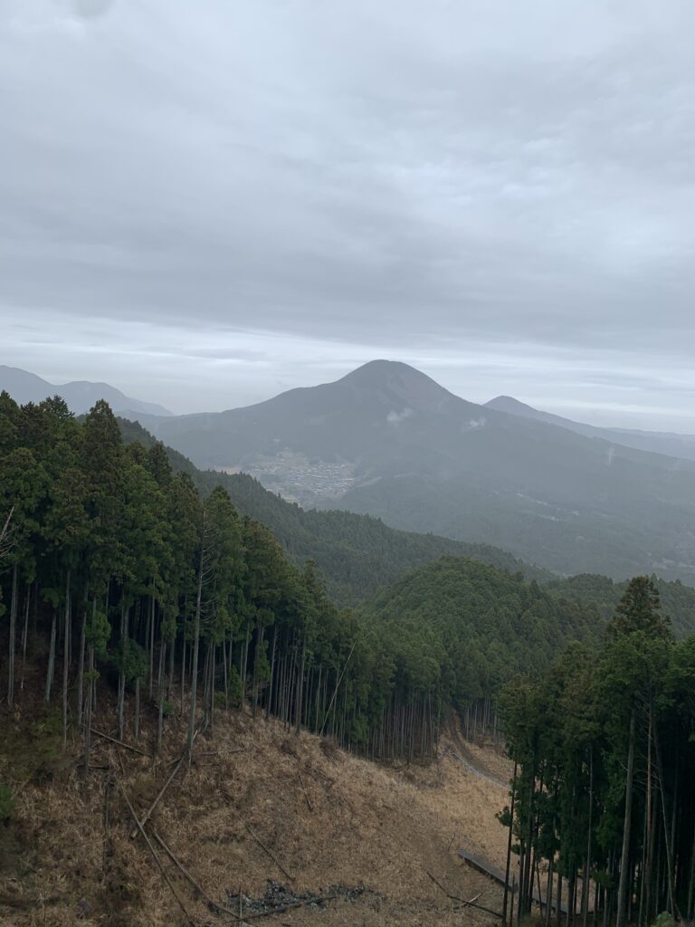 【登山日記】最高のミツマタに出会えた!! 学能堂山に登山しました。