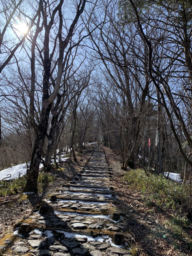 【登山日記】和歌山県、最高峰の龍神岳が最高に気持ちの良い縦走でした