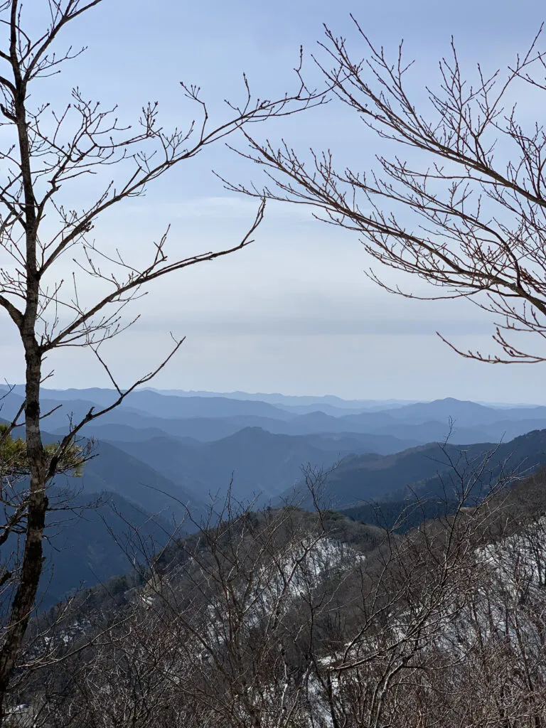 【登山日記】和歌山県、最高峰の龍神岳が最高に気持ちの良い縦走でした