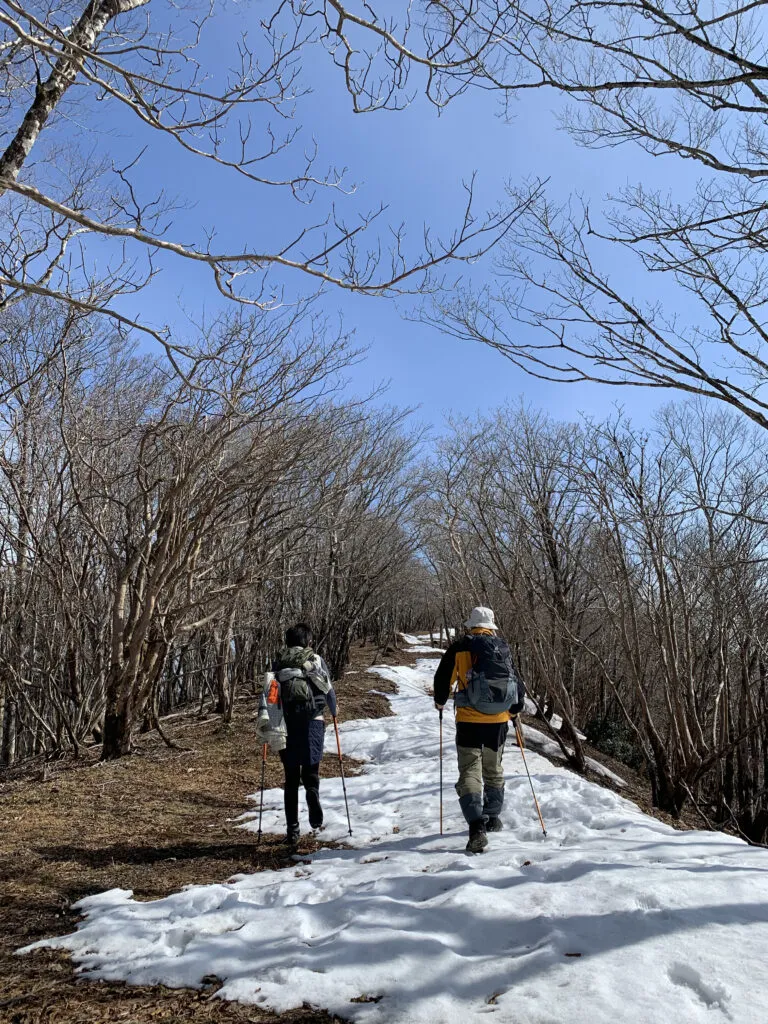 【登山日記】和歌山県、最高峰の龍神岳が最高に気持ちの良い縦走でした