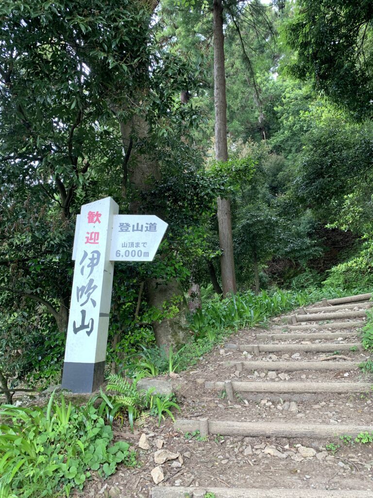 【登山日記】日本百名山・伊吹山 眺め最高の山でした。