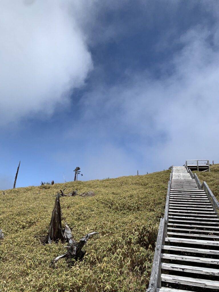 【登山日記】日本百名山・大台ケ原 最高の絶景を見る事ができました。