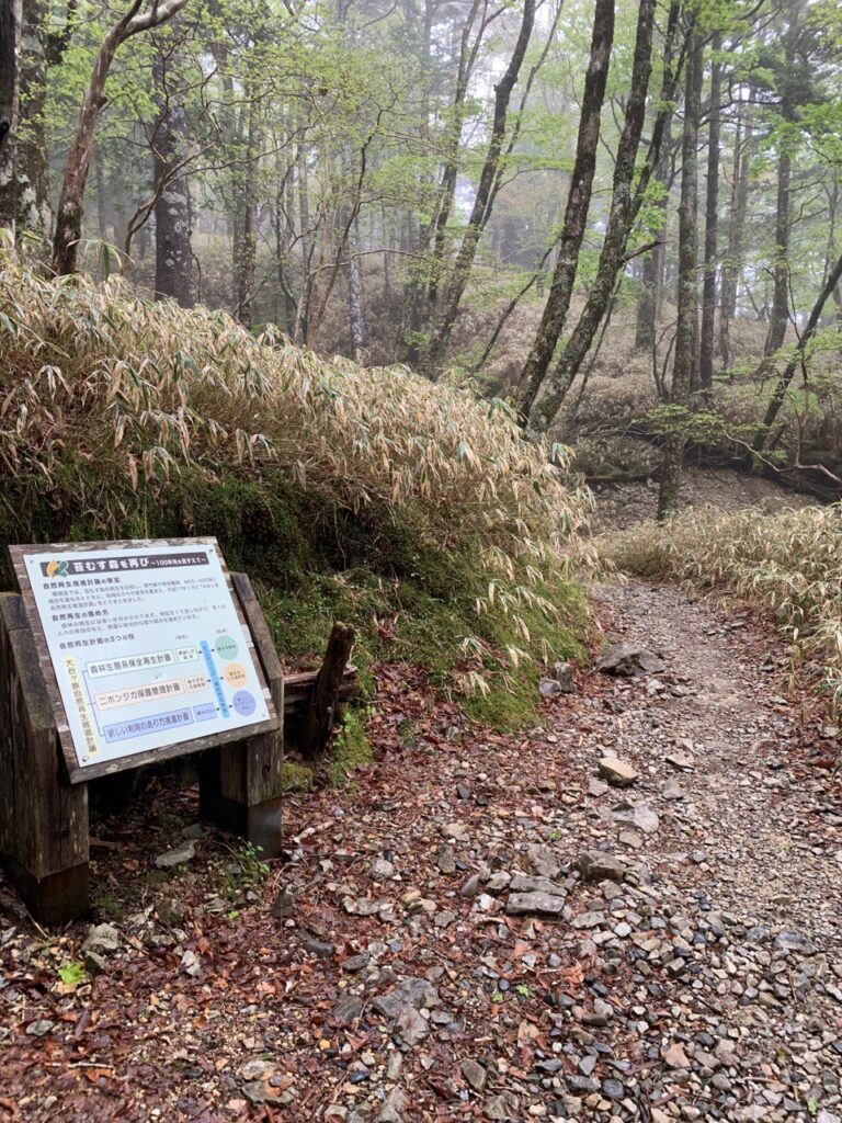 【登山日記】日本百名山・大台ケ原 最高の絶景を見る事ができました。