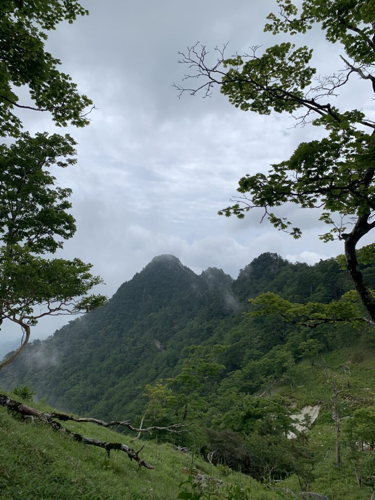 【登山日記】日本二百名山の奈良県・釈迦ヶ岳は最高の稜線歩き