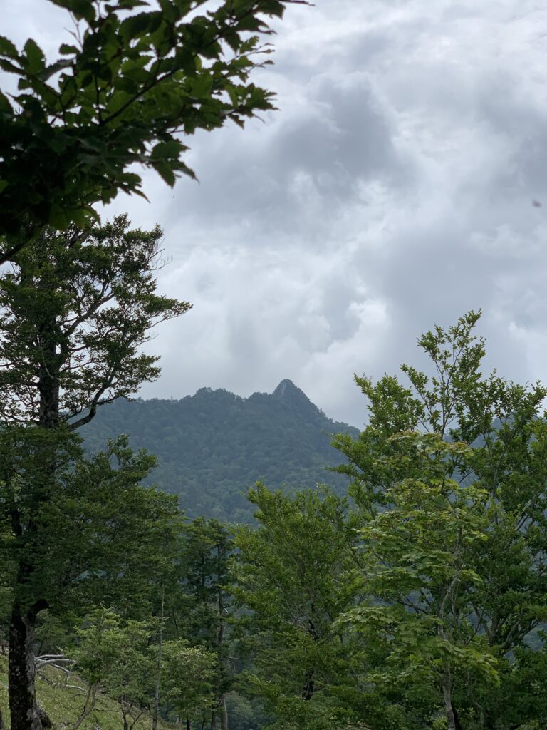 【登山日記】日本二百名山の奈良県・釈迦ヶ岳は最高の稜線歩き