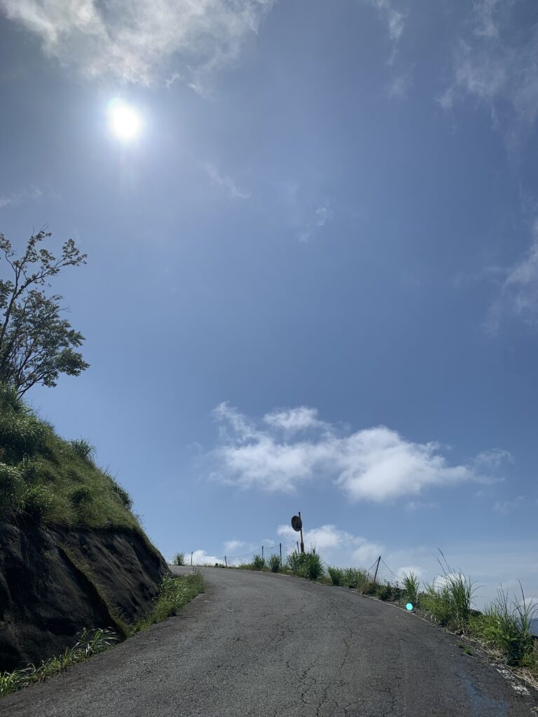 【登山日記】伯母子岳、アップダウン長い稜線歩きでも山頂は最高!!