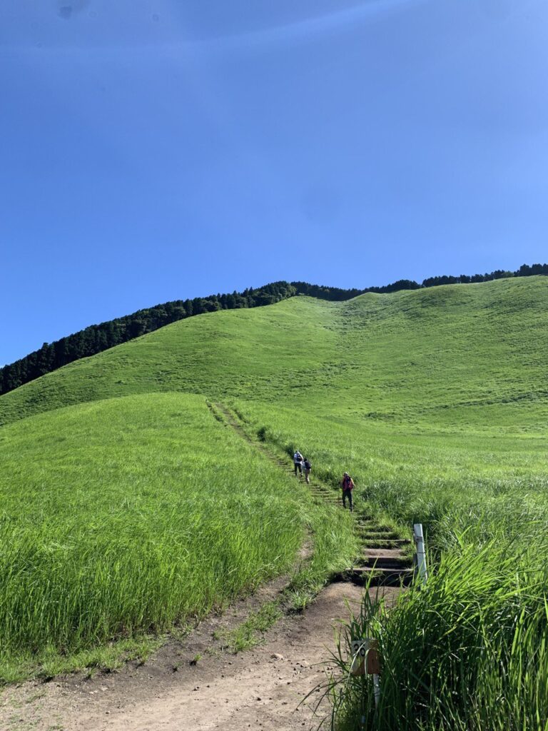 【登山日記】新緑の草原と青い空、最高の景観を楽しめる曾爾高原