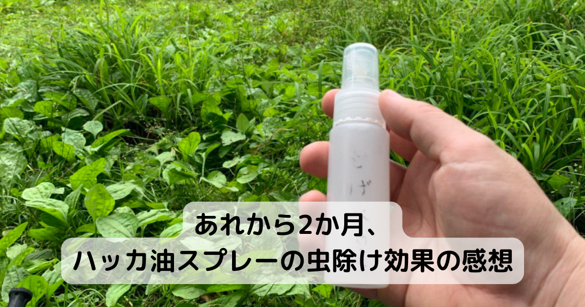 【登山グッズ】登山でハッカ油を使い始めて1年、効果や実際に使ってみて分かった事