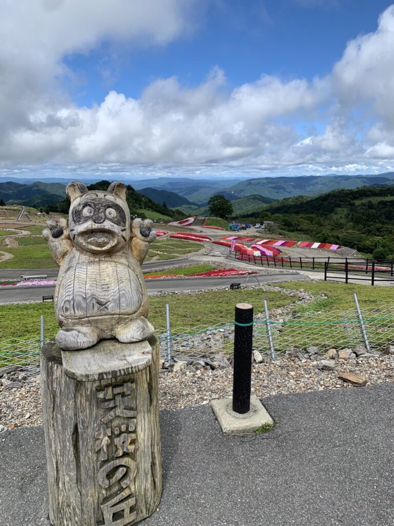 【登山日記】愛知県最高峰の山「茶臼山」は涼しい高原でした。