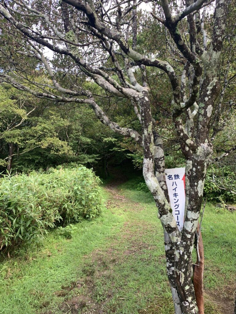 【登山日記】愛知県最高峰の山「茶臼山」は涼しい高原でした。