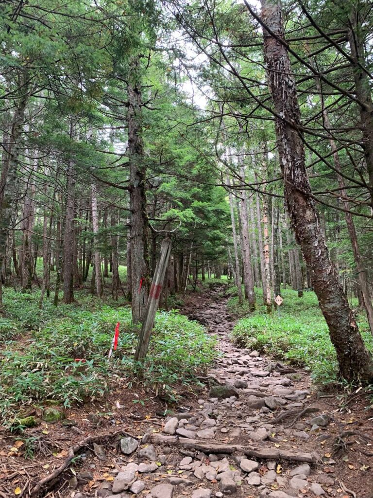 【登山日記】日本百名山の「蓼科山」は自然いっぱいで岩岩な山でした。