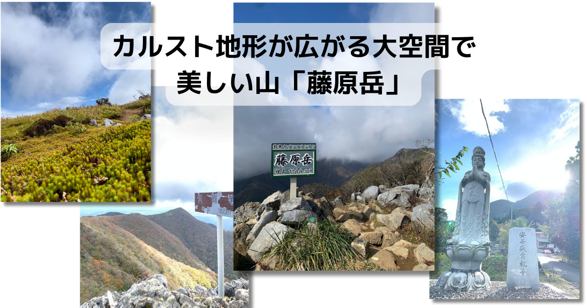 【登山活動】カルスト地形が広がる大空間で美しい山「藤原岳」