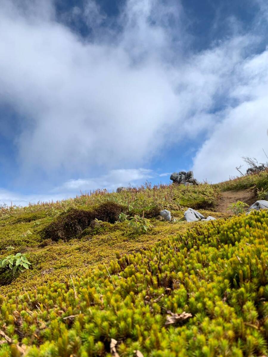 【登山活動】カルスト地形が広がる大空間で美しい山「藤原岳」