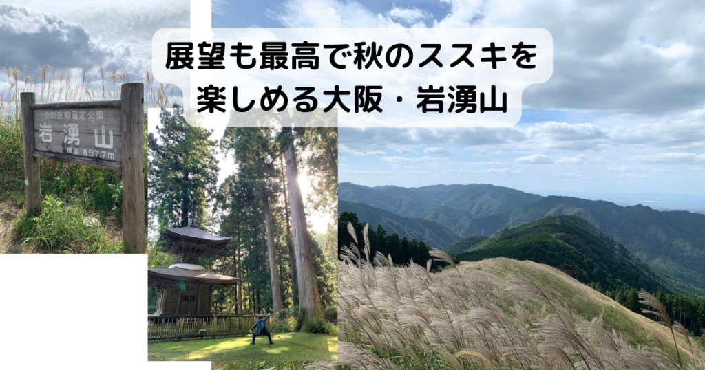 【登山日記】展望も最高で秋のススキを楽しめる大阪・岩湧山