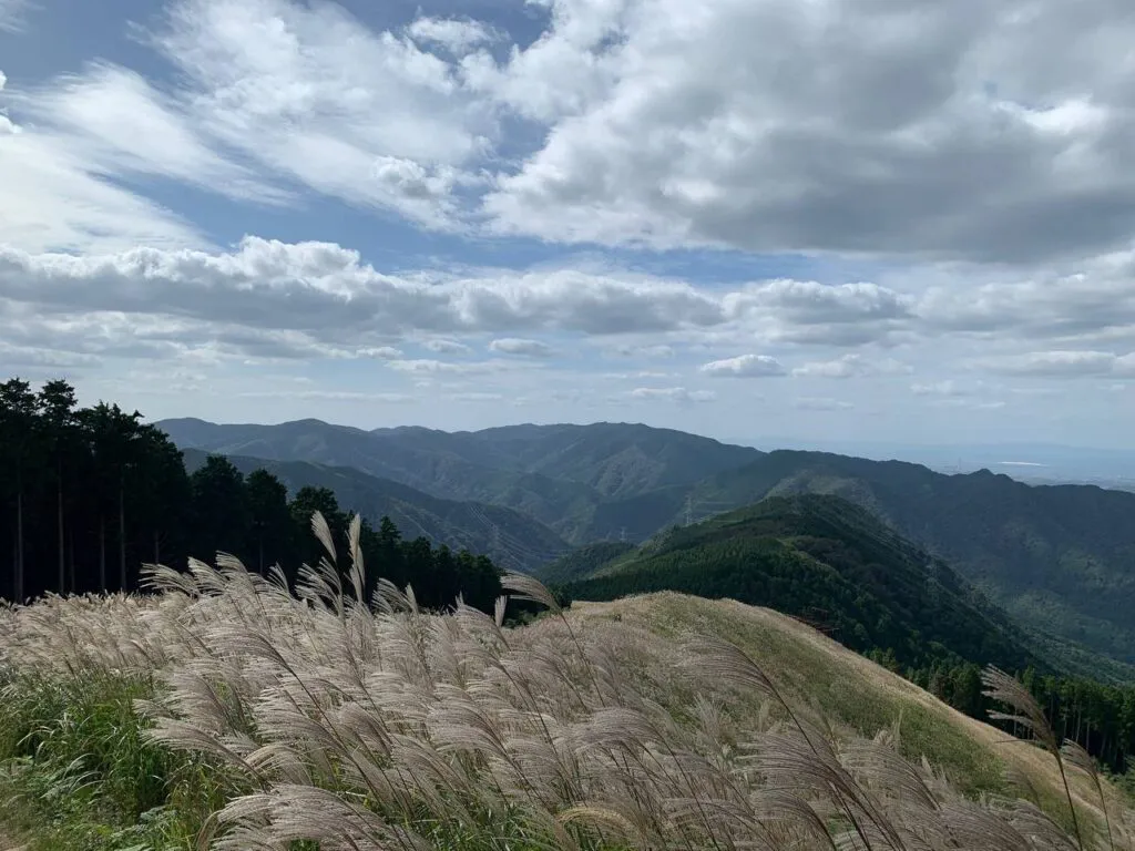 【登山日記】展望も最高で秋のススキを楽しめる大阪・岩湧山