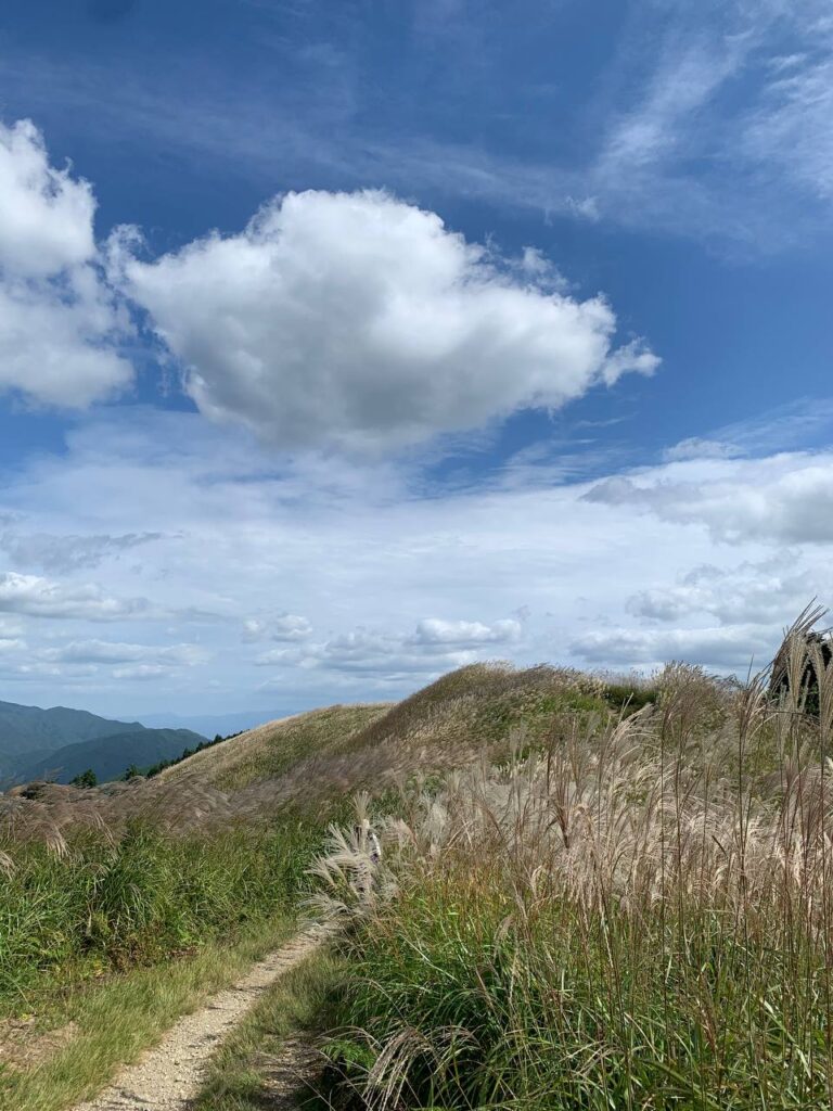 【登山日記】展望も最高で秋のススキを楽しめる大阪・岩湧山