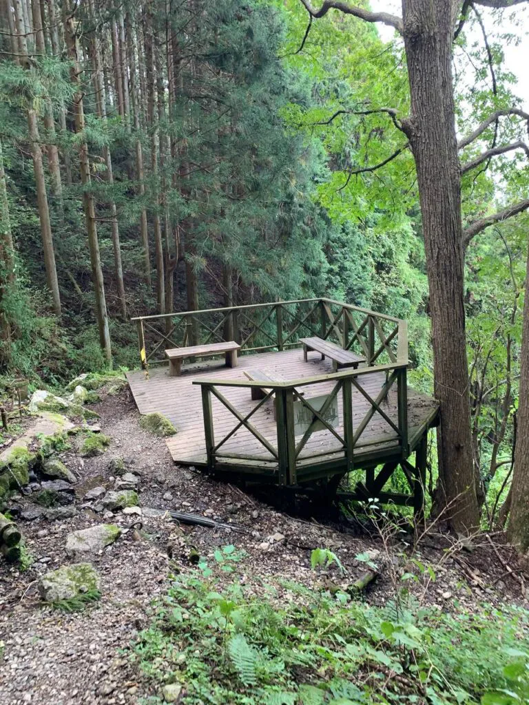 【登山日記】展望も最高で秋のススキを楽しめる大阪・岩湧山
