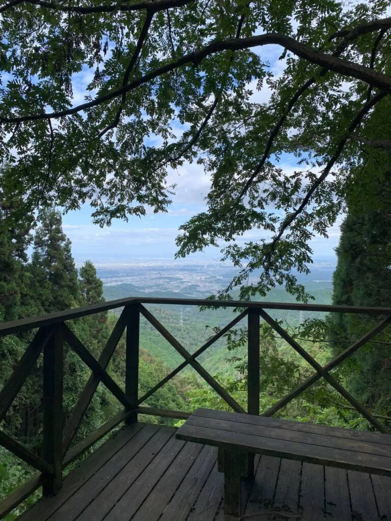 【登山日記】展望も最高で秋のススキを楽しめる大阪・岩湧山