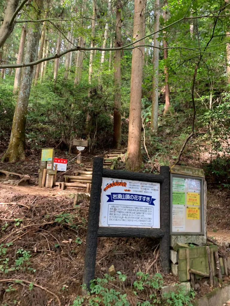 【登山日記】展望も最高で秋のススキを楽しめる大阪・岩湧山
