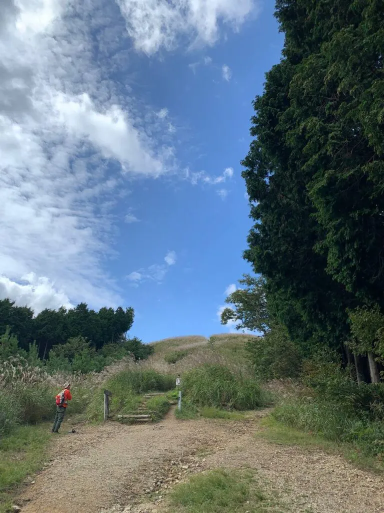 【登山日記】展望も最高で秋のススキを楽しめる大阪・岩湧山