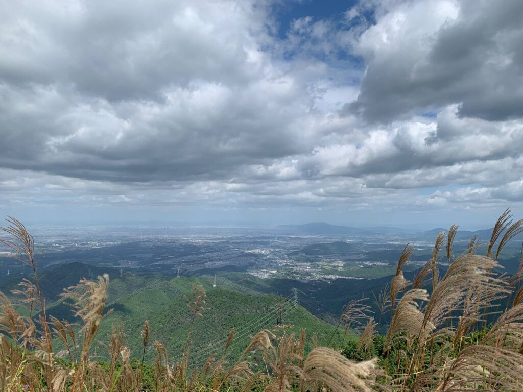 【登山日記】展望も最高で秋のススキを楽しめる大阪・岩湧山