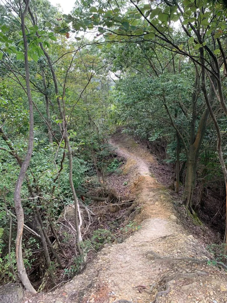 【登山活動】金勝アルプスは最高に楽しい岩岩アスレチック!!