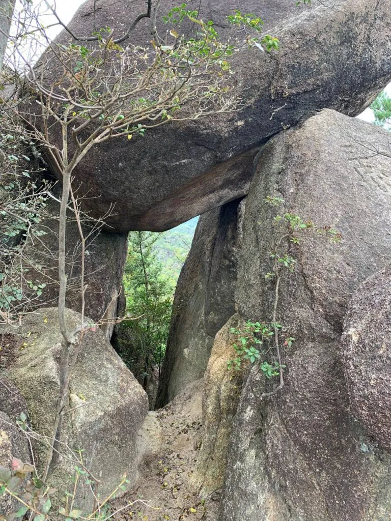 【登山活動】金勝アルプスは最高に楽しい岩岩アスレチック!!