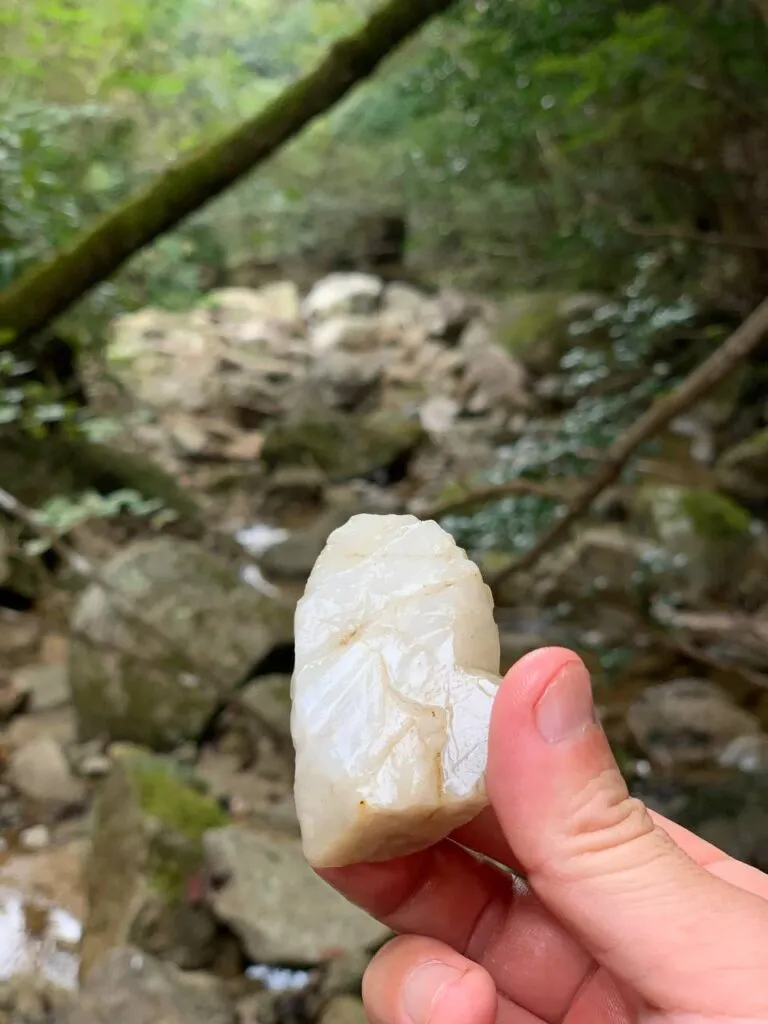 【登山活動】金勝アルプスは最高に楽しい岩岩アスレチック!!