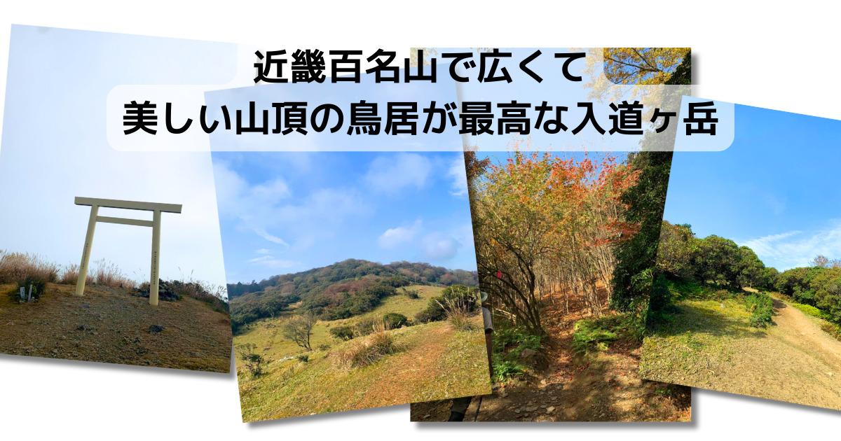 【登山活動】近畿百名山で広くて美しい山頂の鳥居が最高な入道ヶ岳