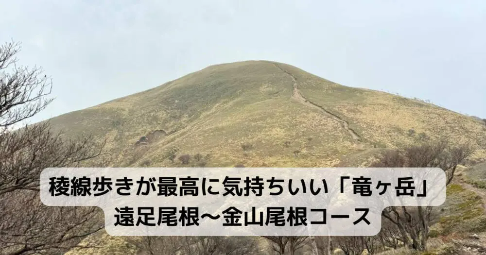 【登山活動】稜線歩きが最高に気持ちいい「竜ヶ岳」遠足尾根～金山尾根コース