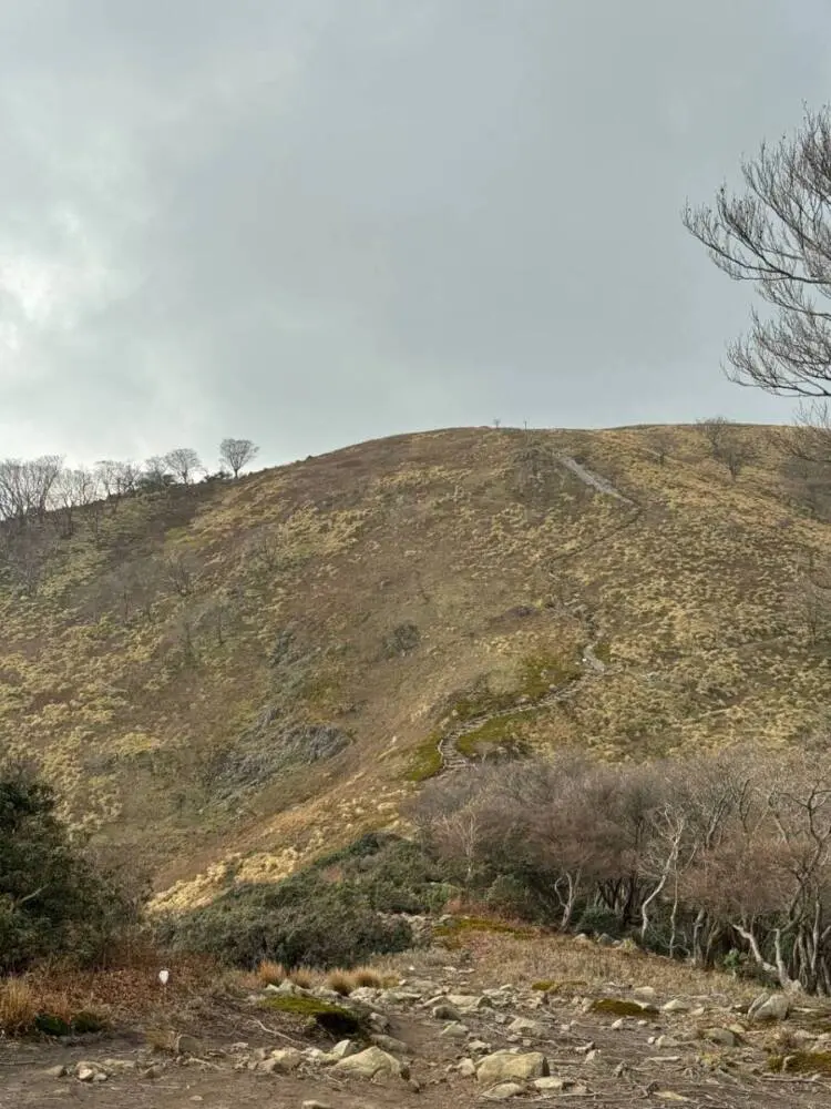 【登山活動】稜線歩きが最高に気持ちいい「竜ヶ岳」遠足尾根~金山尾根コース