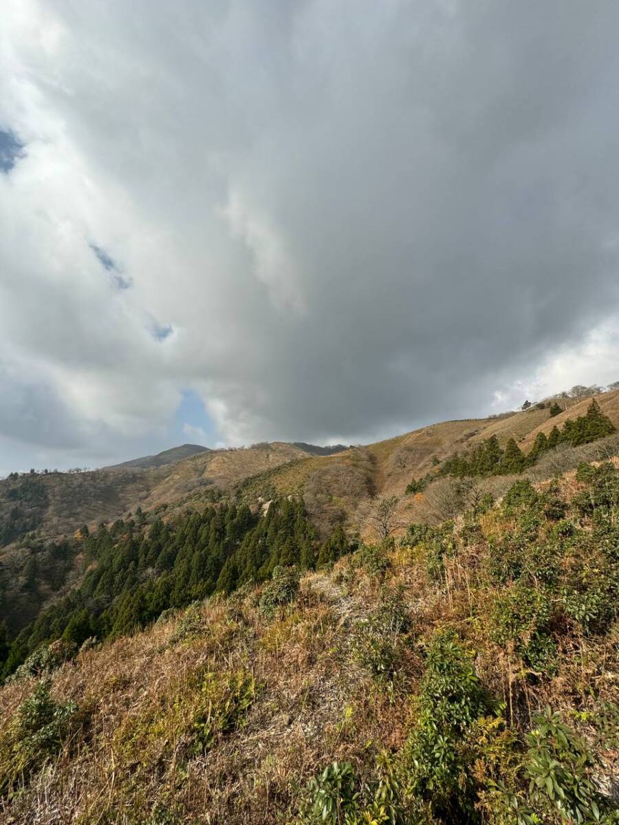 【登山活動】稜線歩きが最高に気持ちいい「竜ヶ岳」遠足尾根～金山尾根コース