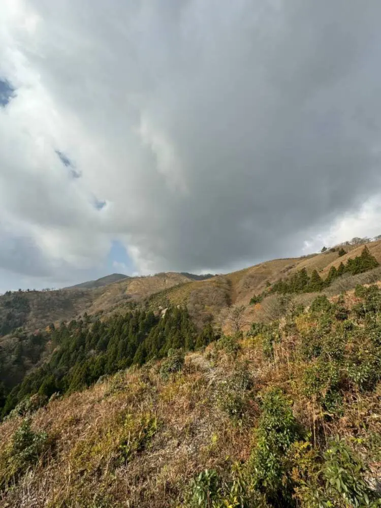 【登山活動】稜線歩きが最高に気持ちいい「竜ヶ岳」遠足尾根~金山尾根コース