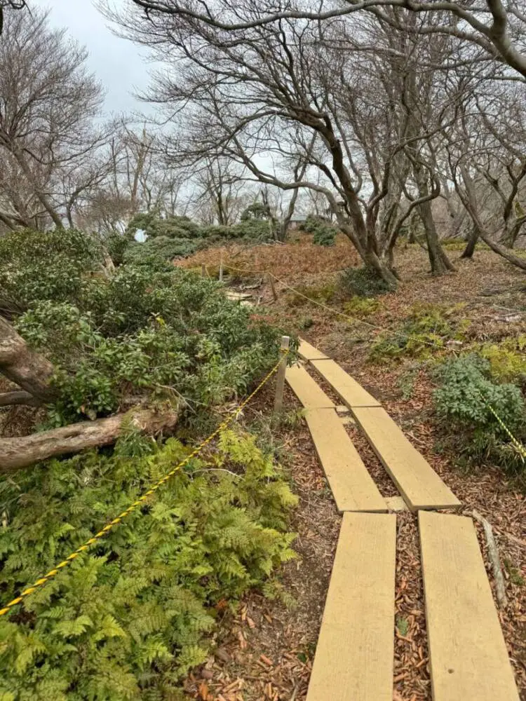 【登山活動】稜線歩きが最高に気持ちいい「竜ヶ岳」遠足尾根~金山尾根コース