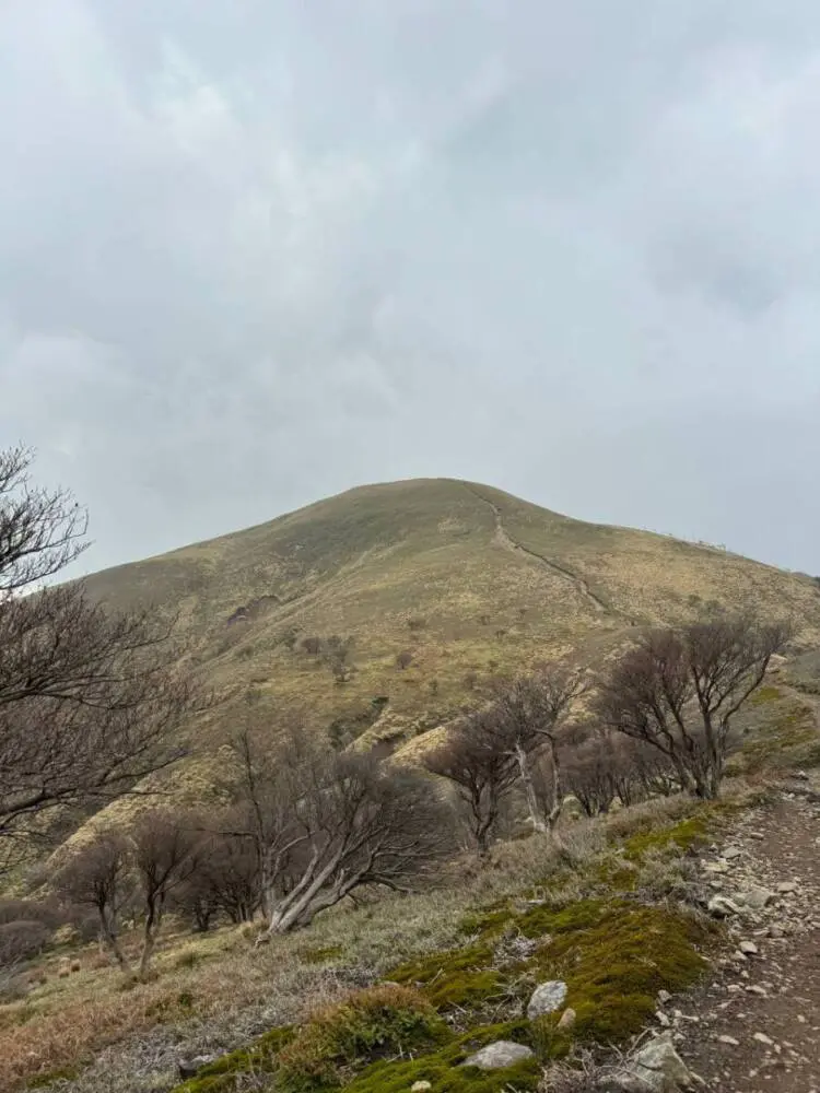 【登山活動】稜線歩きが最高に気持ちいい「竜ヶ岳」遠足尾根~金山尾根コース