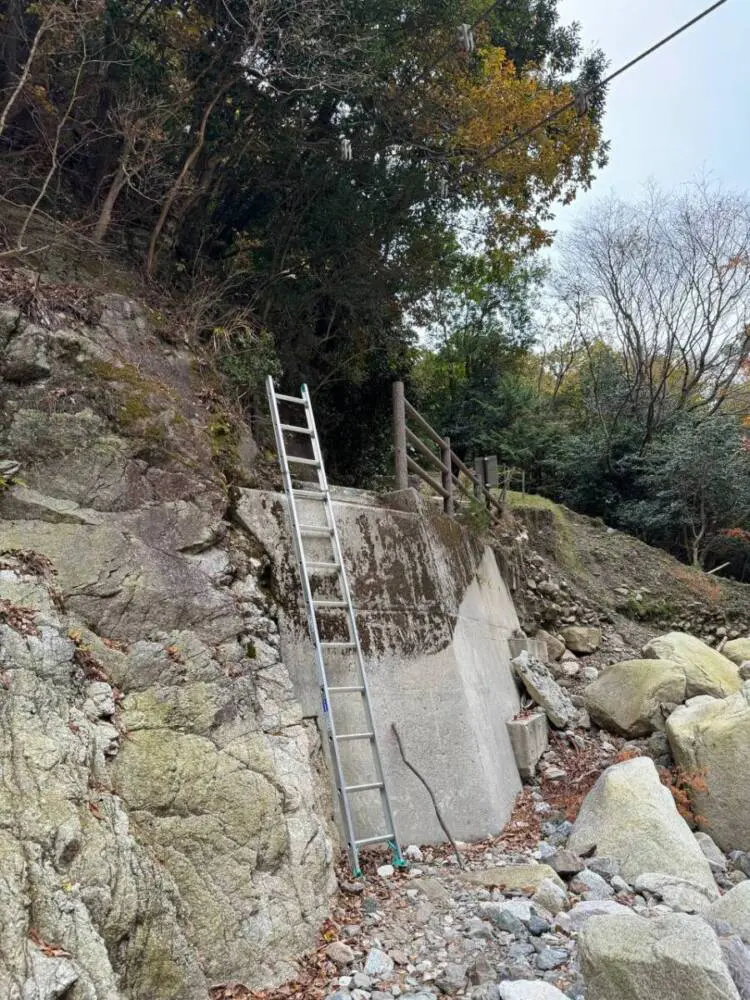 【登山活動】稜線歩きが最高に気持ちいい「竜ヶ岳」遠足尾根~金山尾根コース