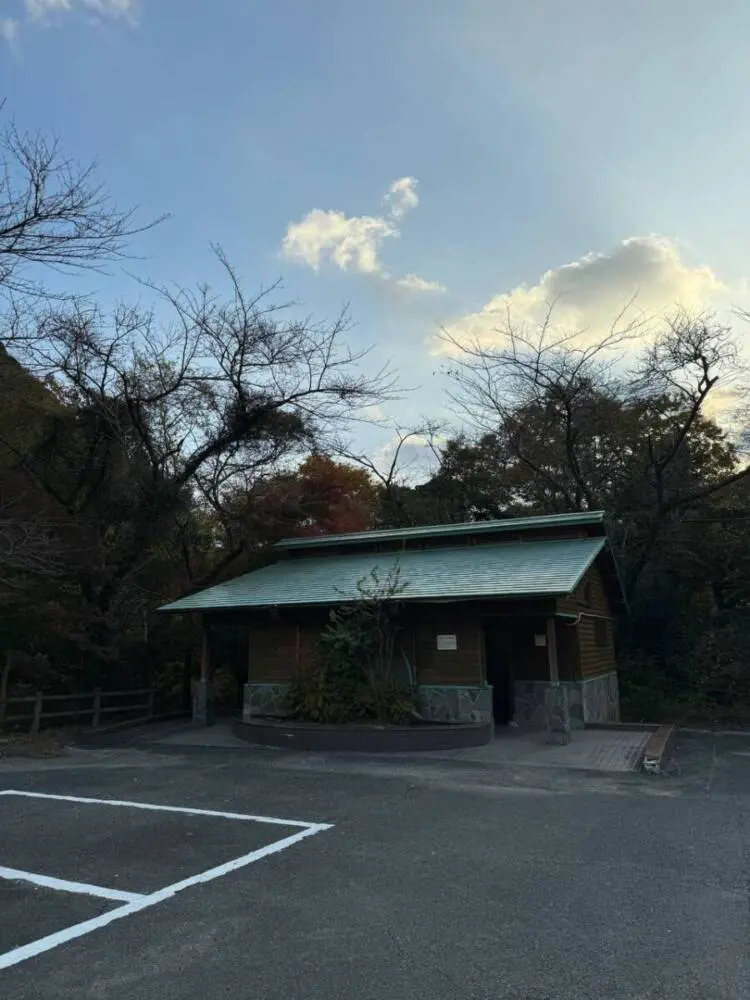 【登山活動】稜線歩きが最高に気持ちいい「竜ヶ岳」遠足尾根~金山尾根コース