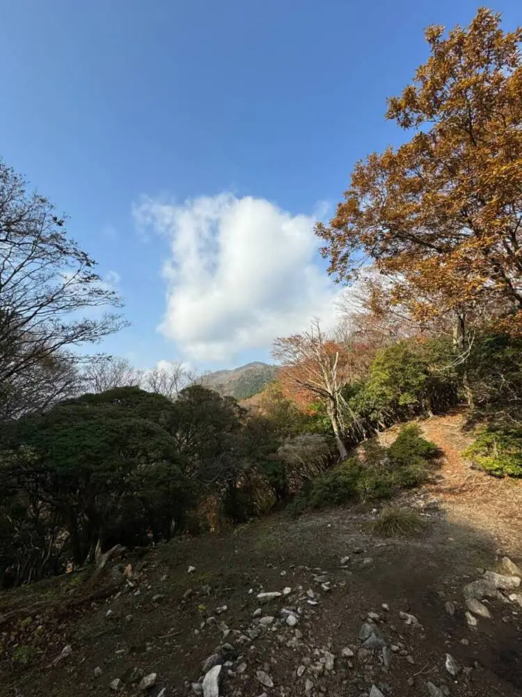 【登山活動】稜線歩きが最高に気持ちいい「竜ヶ岳」遠足尾根~金山尾根コース