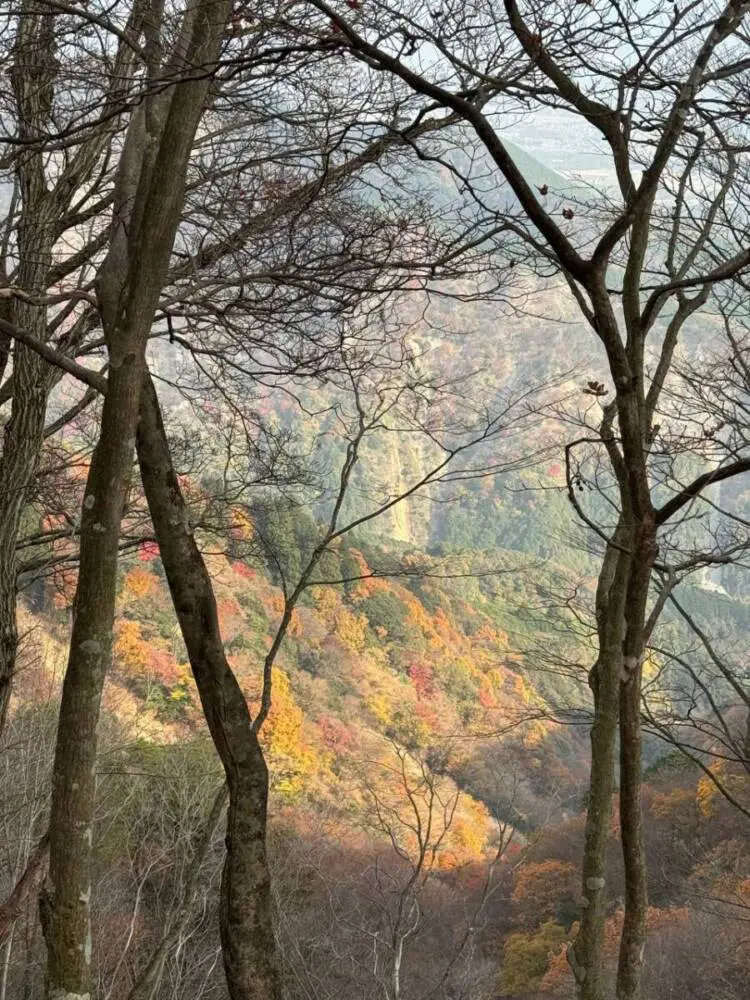 【登山活動】稜線歩きが最高に気持ちいい「竜ヶ岳」遠足尾根~金山尾根コース