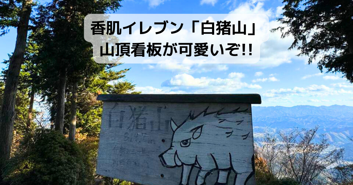 【登山活動】香肌イレブン「白猪山」山頂看板が可愛いぞ!!