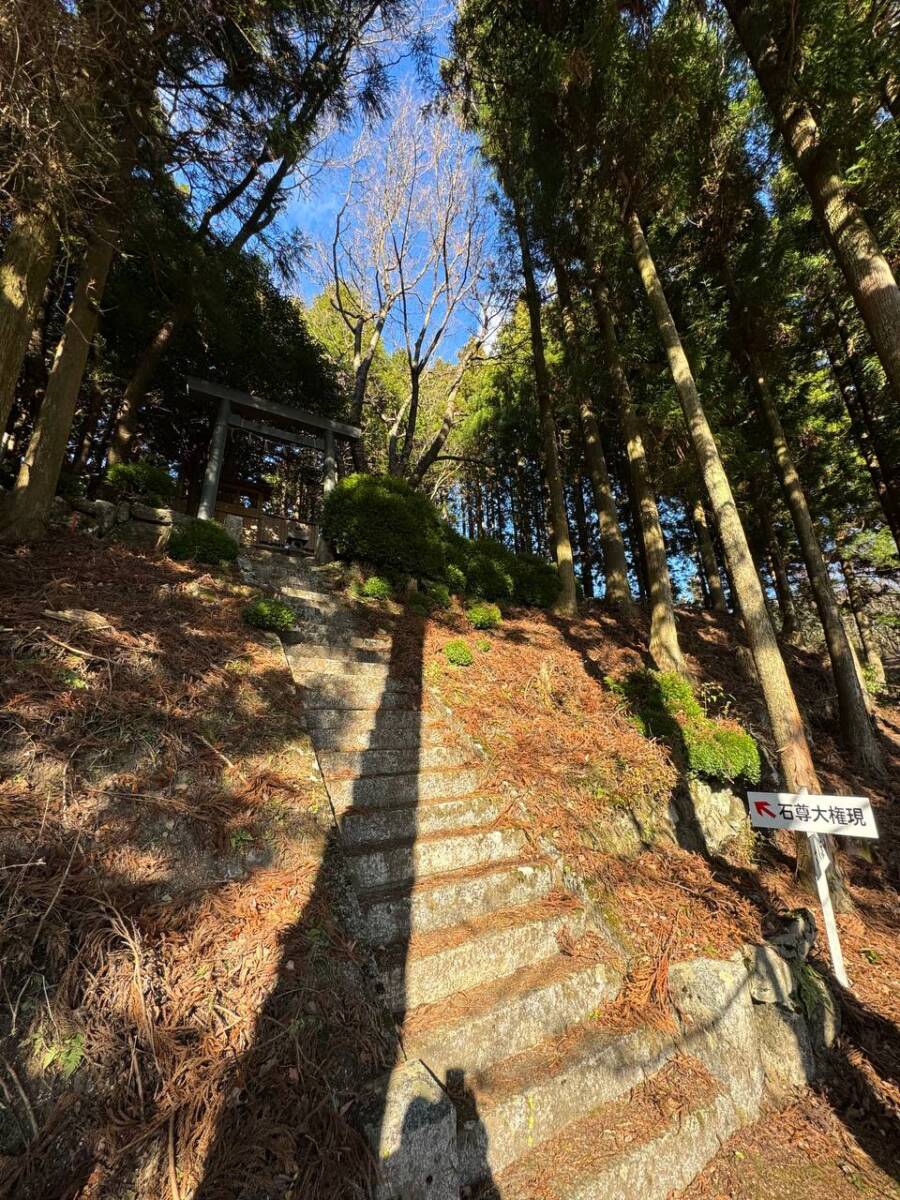 【登山活動】香肌イレブン「白猪山」山頂看板が可愛いぞ!!