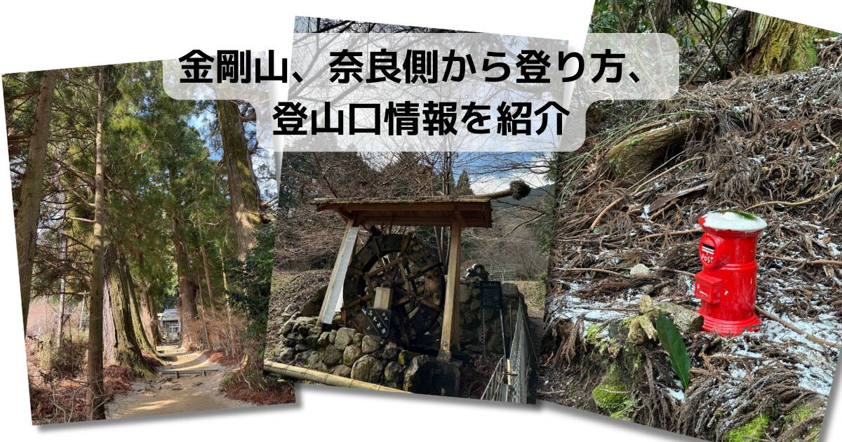 【登山活動】金剛山、奈良側から登り方、登山口情報を紹介