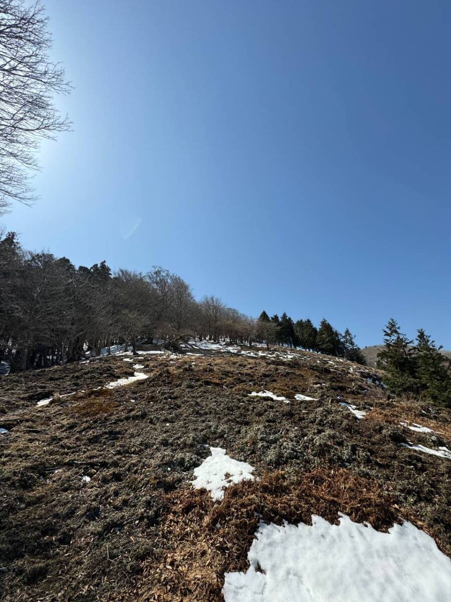 【登山活動】最高の稜線歩きができる香肌イレブン「木梶山」