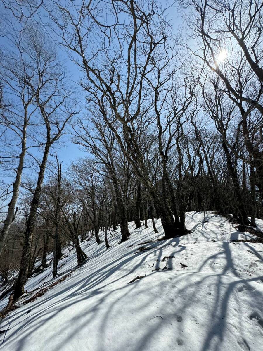 【登山活動】最高の稜線歩きができる香肌イレブン「木梶山」