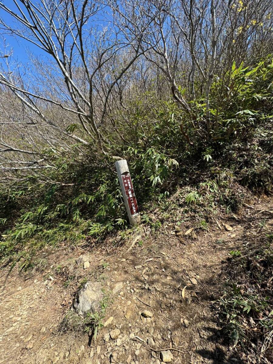 【登山活動】日本百名山「荒島岳」は急登続き!! でも眺望は最高でした。