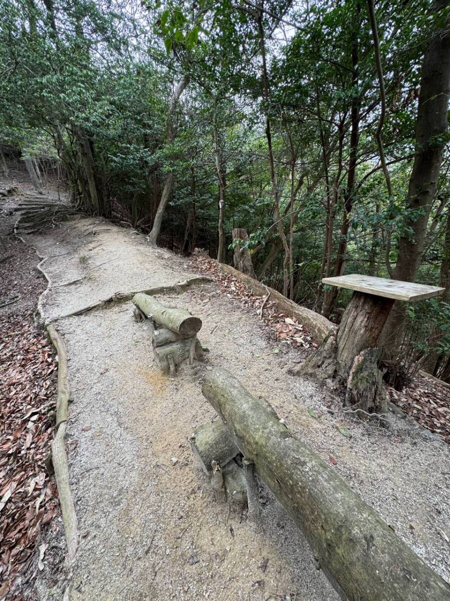 【活動日記】京都を一望できる大絶景でお手軽に登れる山「大文字山」