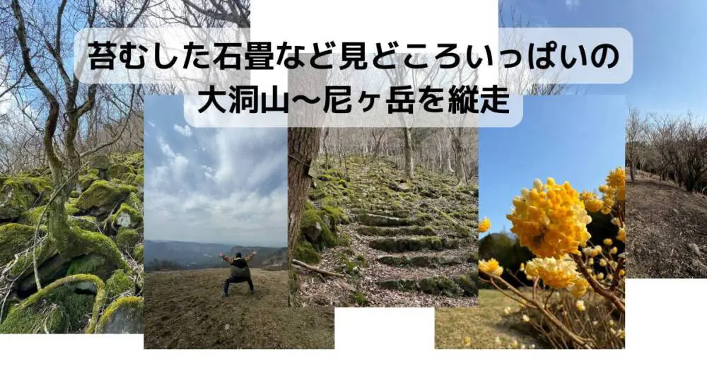 【登山日記】苔むした石畳など見どころいっぱいの大洞山~尼ヶ岳を縦走