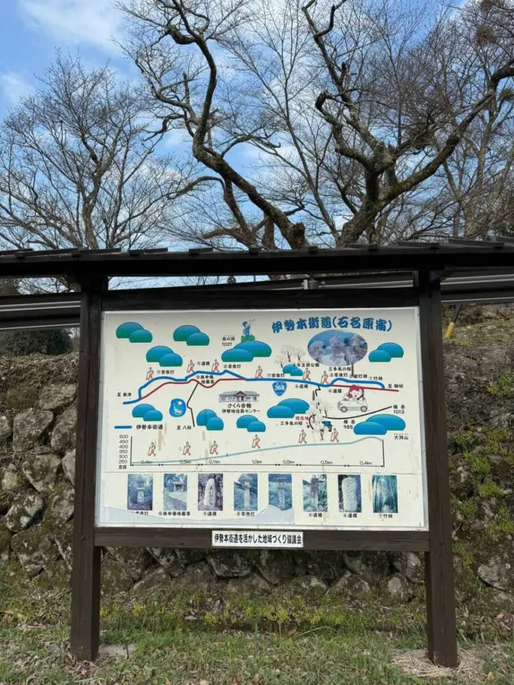 【登山日記】苔むした石畳など見どころいっぱいの大洞山~尼ヶ岳を縦走