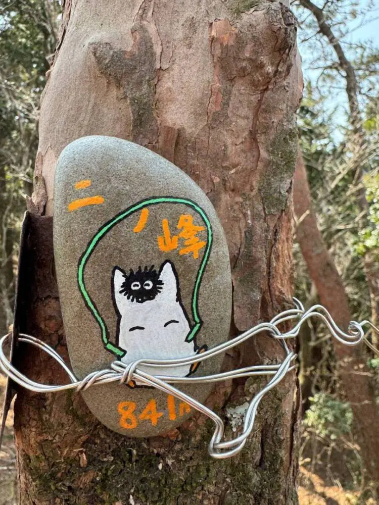 【登山日記】苔むした石畳など見どころいっぱいの大洞山~尼ヶ岳を縦走