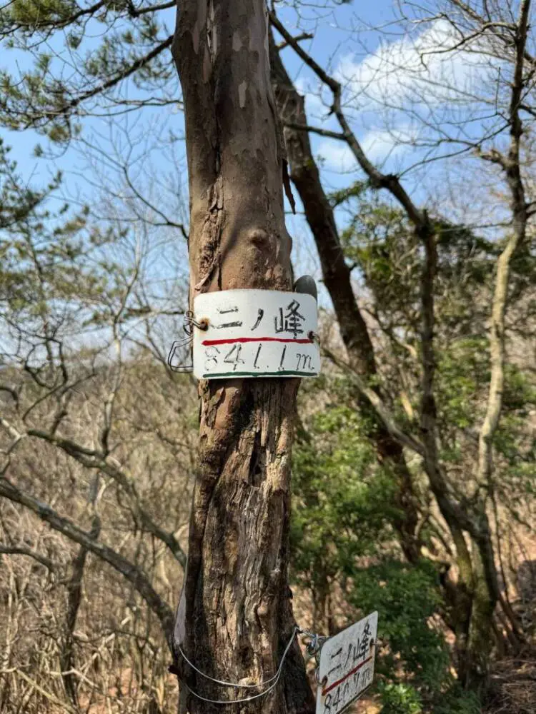 【登山日記】苔むした石畳など見どころいっぱいの大洞山~尼ヶ岳を縦走